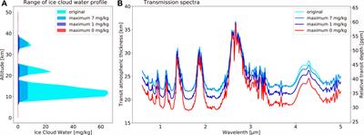 Asymmetry and Variability in the Transmission Spectra of Tidally Locked Habitable Planets